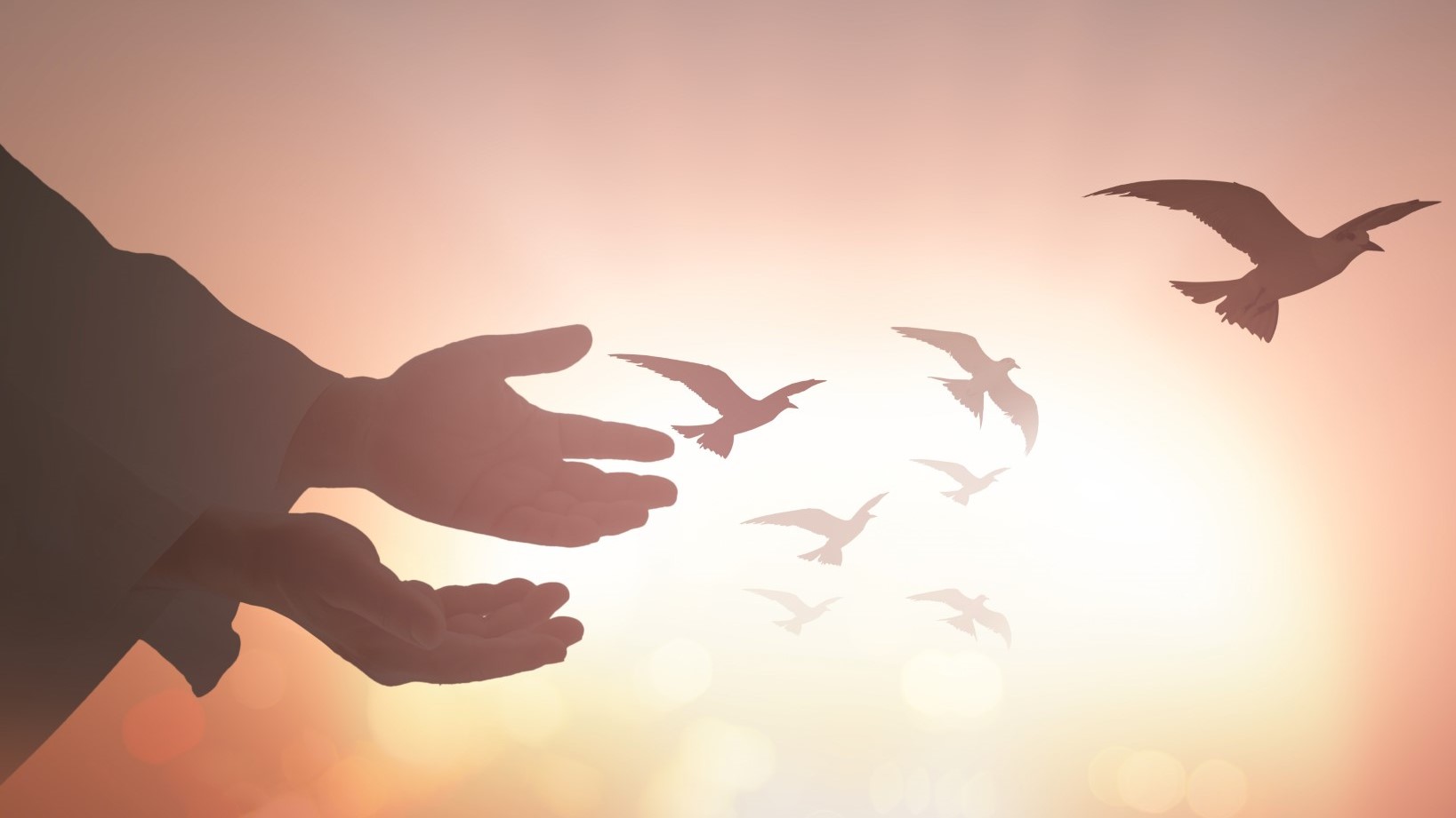 All About Religious Relationships in 2026